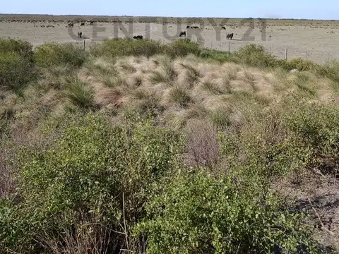 Campo en Venta de 0,15  ha