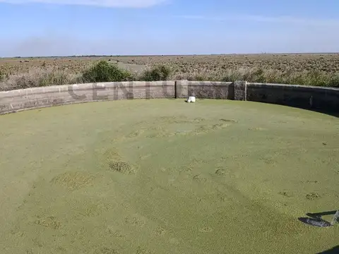 Campo en Venta de 0,15  ha