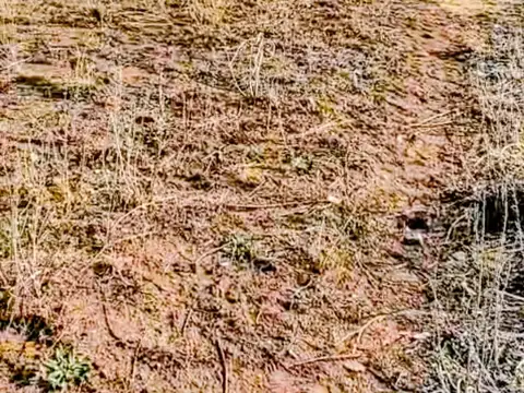 Terreno en Venta de 730,0 m2