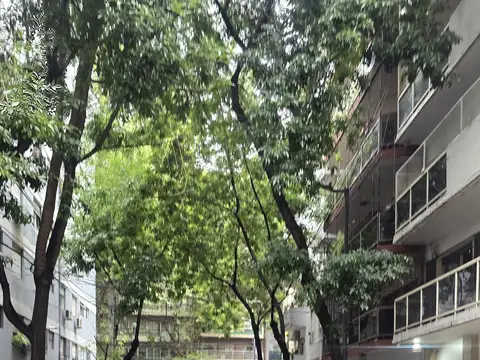 Departamento en alquiler en Palermo