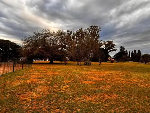 Rio hondo 500