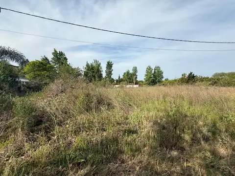 Lote en fincas del Rincón.