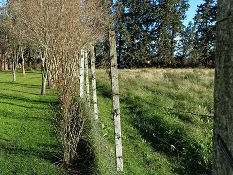 Chacra 2 has casa y galpon, frente autódromo Gualeguychú.