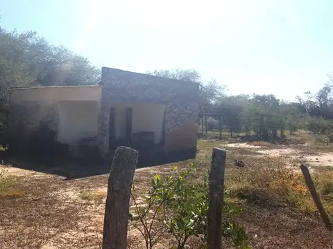 Campo Ganadero en Rivadavia Banda Norte