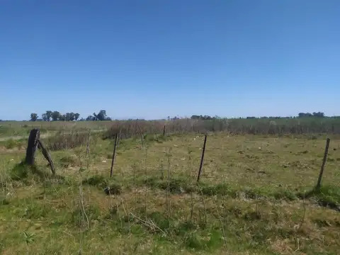 Campo - Venta - Argentina, Saladillo