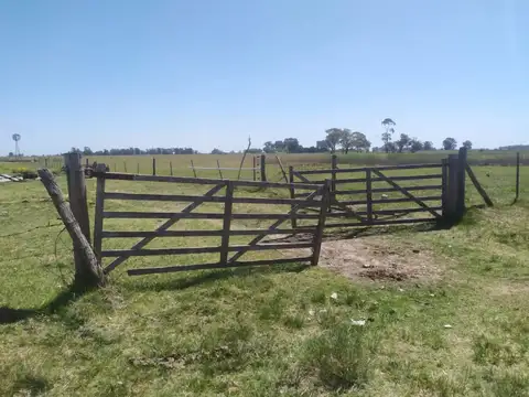 Campo - Venta - Argentina, Saladillo