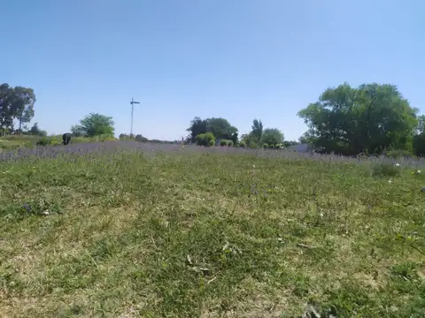 Campo - Venta - Argentina, Saladillo