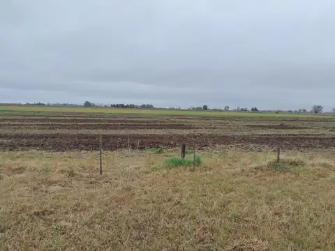 VENTA DE 16HA DE CAMPO EN IBARLUCEA
