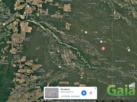 Estación Capitán Page, Rivadavia, Salta