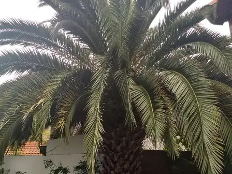 Casa en Olivos-Roche