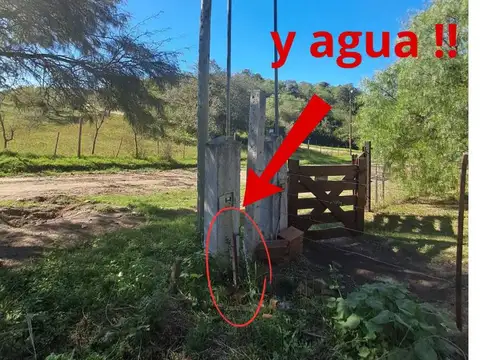 Terreno en Venta 67  mts Fondo