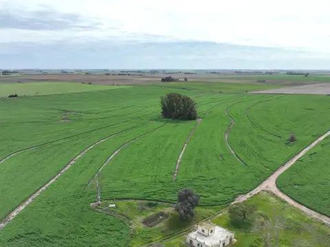 Campo en Venta de 210  ha