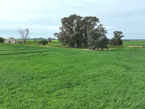 Campo en Venta Agrícola