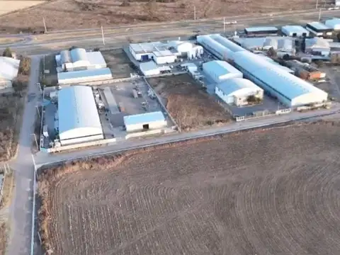 Ruta 19 - Mi Granja