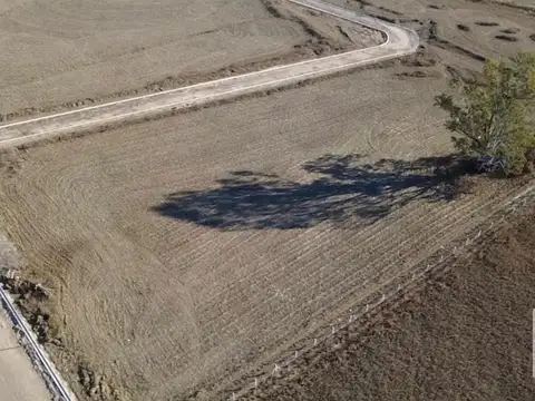 LOTES INDUSTRIALES EN VENT RUTA 19 MI GRANJA