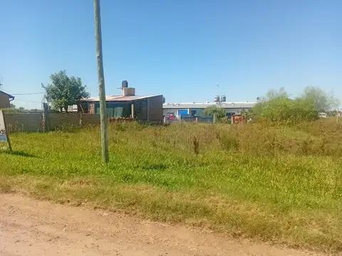 1° de Mayo Lote 30 100