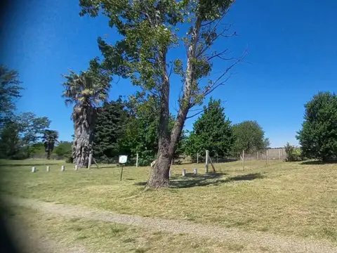 Ruta Provincial C45 2000
