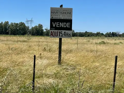 Campo de 15,4 Has EN VENTA en MANZANARES, Pilar