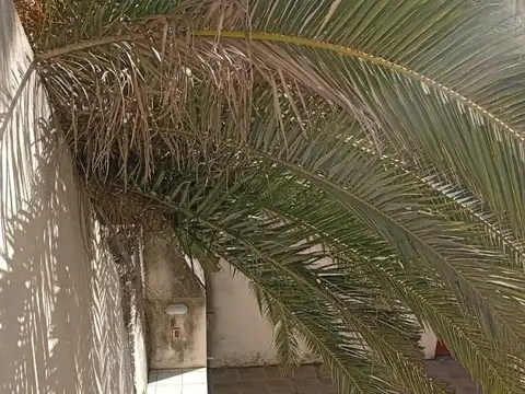 Departamento en Alquiler en Parque Atlántida, $ 450.000