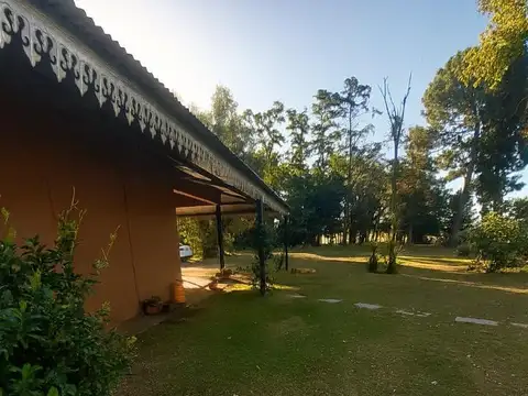 Ledesma