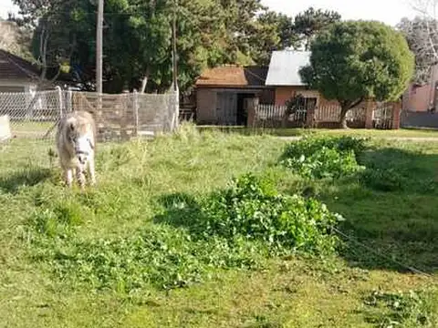 Terreno en Bahamas 500