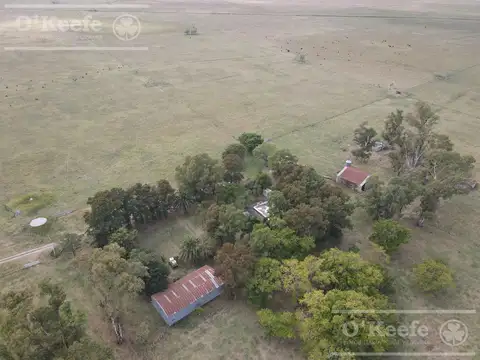Campo Mixto en venta de 227 has en Ranchos