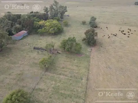 Campo mixto en venta de 227 has sobre Ruta en Ranchos