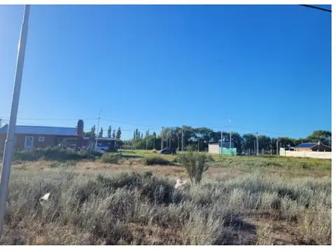 Terreno en Venta en Plottier, USD 7.200