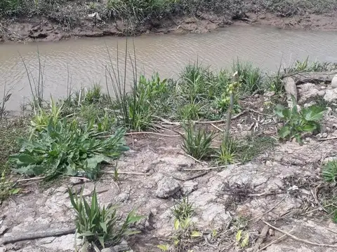 VENTA EN BLOQUE DE 2 LOTES EN 1ERA SECCION DE ISLAS DE TIGRE