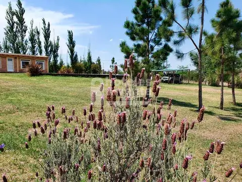 Hotel en Venta en Villa Quillinzo, USD 165.000