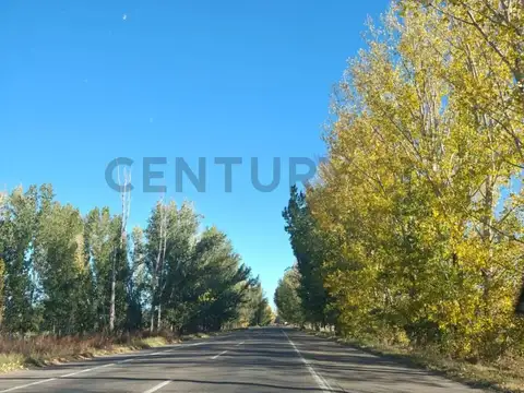 VENTA FINCA 8,3 HAS CON FRUTALES - SAN CARLOS (VALLE DE UCO)