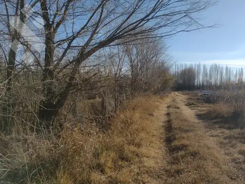 ALQUILER DE 605 HA CON CASA