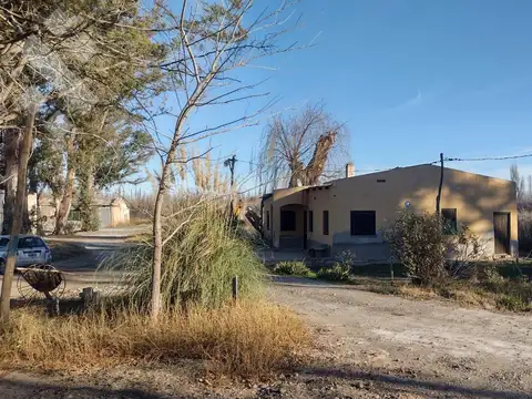 ALQUILER DE 605 HA CON CASA