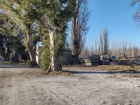 ALQUILER de CHACRA sobre Julio Dante Salto a metros de ruta 22
