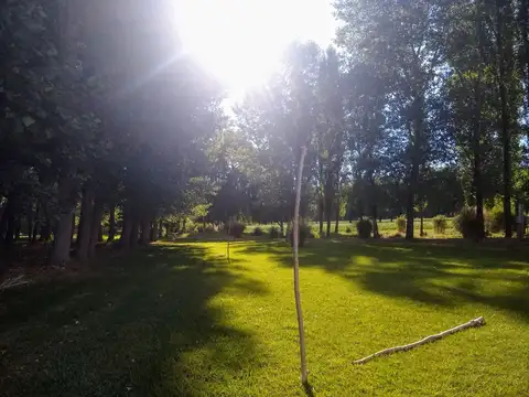 Terreno en Venta de 2000,0 m2