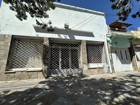Venta de casa, local y departamento Palmira - Mendoza
