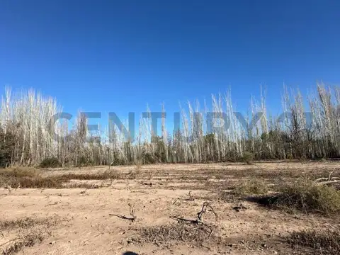 Terreno en Venta de 2,6 m2