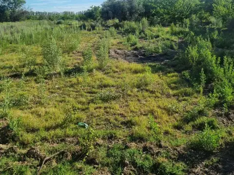 Lote en venta en San Rafael