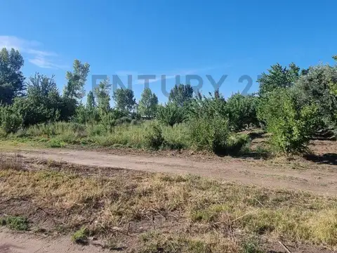 Terreno en Venta de 10729,51 m2