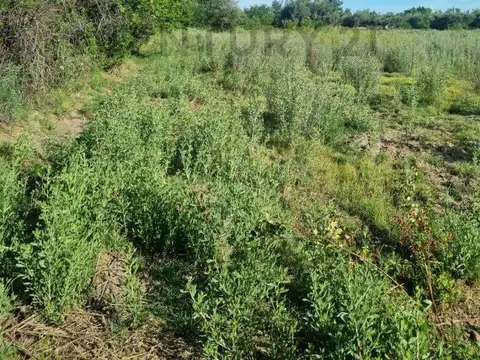 Terreno en Venta de 10729,51 m2