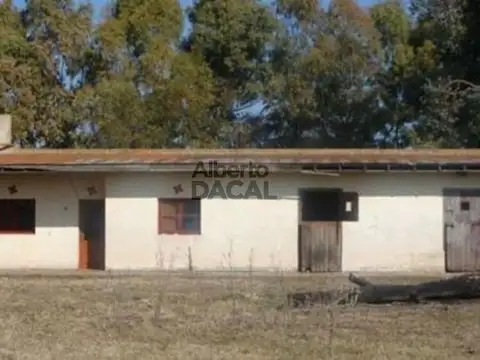 Ruta 36/Km 80