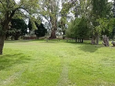 CALLE VECINAL  CARDALES