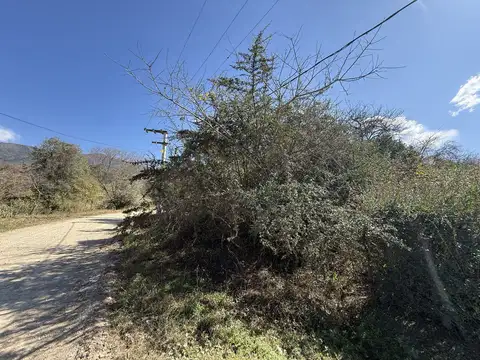 Lesser, San Lorenzo Ruta Provincial 115, Departamento La Caldera, Salta Argentina
