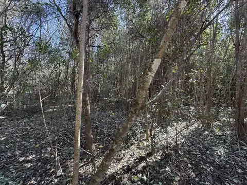Venta terreno Lesser La Caldera de 6.714 m2