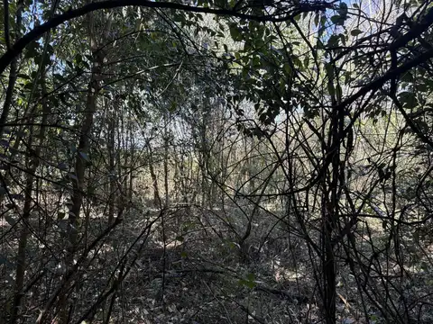 Terreno en Venta en Lesser, USD 190.000