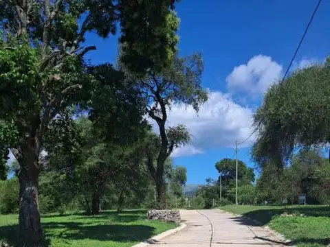Gustavo Centeno  al 1000