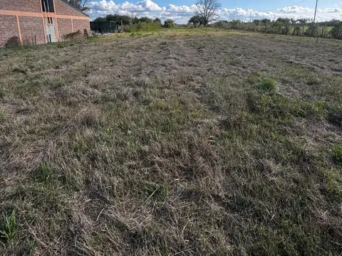 Terreno en villa elisa