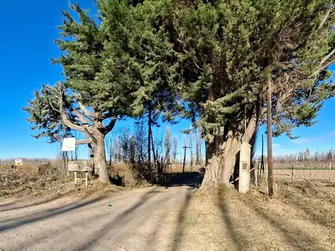 Ruta 69