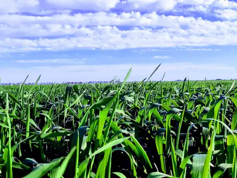 Larroque - Gualeguaychú