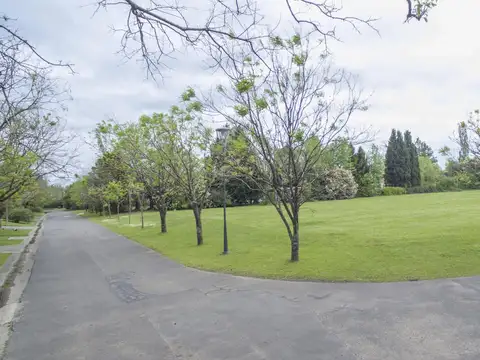 Terreno en Venta 42  mts Frente